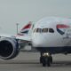 Задница корги была замечена в бизнес-классе British Airways между Майами и Лондоном.