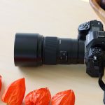 Tamron представляет макрообъектив 90 мм F/2,8 Di III для беззеркальных систем